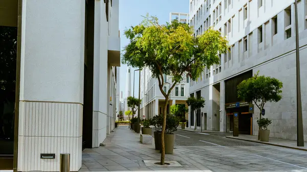 Modern şirket mimarisi, iş ve başarı konseptine sahip şehir manzaralı ofis binaları. Yüksek kalite fotoğraf