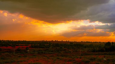 Kazakistan 'ın doğasının manzarası. Yüksek kalite fotoğraf