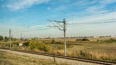 Tarım tarlaları, tohum ekmeden ekilen tahıl ve tarla filizleriyle dolu. Tepelerin arkasında ağaçlar var. Basit bir kavram. Alternatif. Yüksek kalite fotoğraf