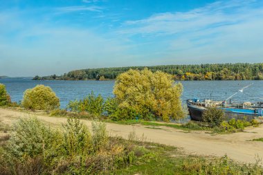 Tarım tarlaları, tohum ekmeden ekilen tahıl ve tarla filizleriyle dolu. Tepelerin arkasında ağaçlar var. Basit bir kavram. Alternatif. Yüksek kalite fotoğraf