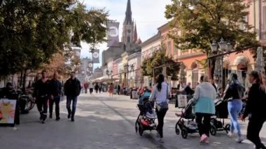  Novi Sad şehir merkezi, Sırbistan 'ın Voyvodina kentinde bulunan Mary Church ve Novi Sad belediyesinin etrafında yer alıyor. Yüksek kalite 4k görüntü