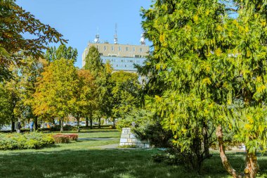 Şehir parkının yolu boyunca sakin ahşap bir bank. Yeşil çimenli olgun yaprak döken ağaçlar onu dinlenmek için büyülü bir yer haline getiriyor. Yüksek kalite fotoğraf