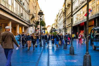 Gün batımında şehrin güzel manzarası. Yüksek kaliteli fotoğraf, Tuna Nehri arka planda yüksek ağaçların kayan tepelerle buluştuğu bir manzaranın içinde kıvrılır. Gökyüzü 