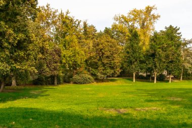 Madrid, İspanya 'ya park et.