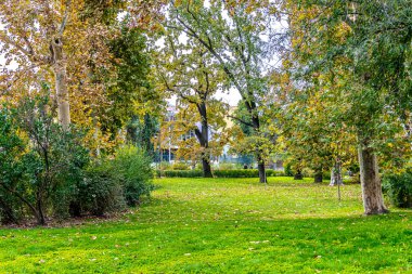 Parktaki ağaçların güzel sonbahar manzarası