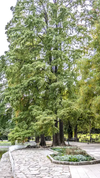 Güzel botanik fotoğrafı, doğal duvar kağıdı.