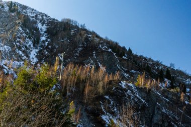 Orman ve gökyüzüne karşı dağlar. Yüksek kalite fotoğraf