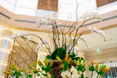 Orkide çiçek aranjmanı. Yüksek kalite fotoğraf