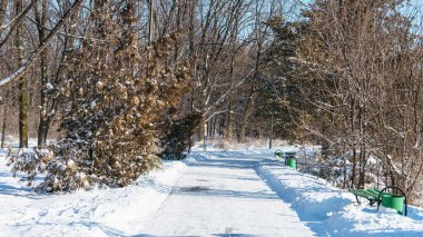 İzlanda 'nın dondurucu güneşli kışında karlı bir yol. Yüksek kalite fotoğraf