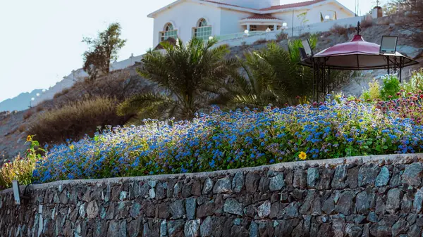 Güneşli bir bahar gününde yabani çiçekler. Yüksek kalite fotoğraf