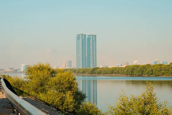 Ras al Khaimah şehir manzaralı, Palm-line kaldırım. Yüksek kalite fotoğraf