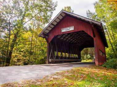 Brookdale Covered Bridge, Vermont, Stowe 'daki Brook Yolu boyunca kurulu güzel bir köprüdür. Köprü 1964 yılında Waterbury Nehri 'nin Batı Şubesi üzerinden trafiğin geçmesini sağlamak için inşa edildi. Köprü 15 metre uzunluğunda ve yaklaşık 6 metre. 