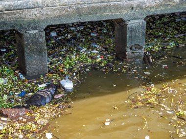 Bu fotoğraf, Tayland, Bangkok 'taki Chao Praya Nehri' ni kirletmenin talihsiz gerçekliğini gösteriyor. Nehri temizleme çabalarına rağmen, atıklar nehrin ve sakinlerinin sağlığını etkileyen bir sorun olmaya devam ediyor. Görüntü servisi