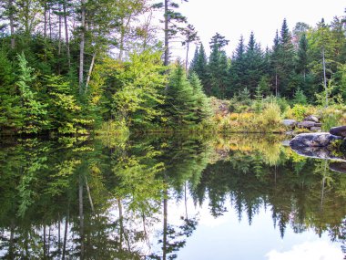 New York, ABD 'nin kuzeyindeki Adirondack Dağları' ndaki ağaçlar ve kayalar yansımalarını bir göle yansıtıyor..