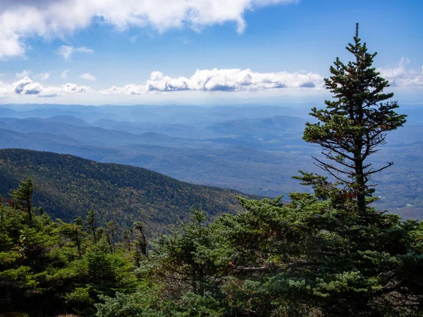 Mansfield Dağı, Vermont, ABD 'den bir çam ağacı aşağıdaki manzarayı çerçeveler..