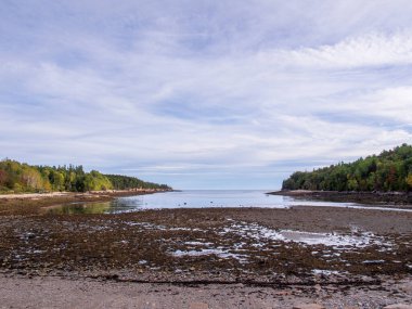 ABD 'nin New England kentinin pitoresk Atlantik kıyısında, sığ suların yavaşça kıyıları kapladığı güzel bir körfezin içine kurulmuş sakin bir plaj bulunur..