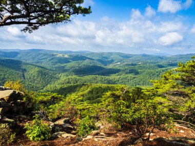 Batı Virginia 'daki Cranny Crow Overlook' da vahşi ve harika bir dünya keşfedeceksiniz. Manzara, engebeli arazilerin, bereketli ormanların ve keşfi davet eden nefes kesen manzaraların büyüleyici bir karışımıdır ve doğal yaşam için derin bir takdirdir.