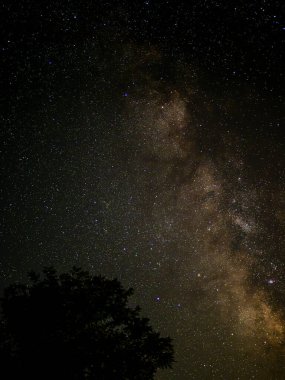 Batı Virginia, Mathias yakınlarında, sakin bir gece gökyüzü Samanyolu 'nu gözler önüne seriyor, ön plandaki ağaçlar tarafından çerçevelenmiş. Bu sakin sahne, az ışık kirliliği olan bir bölgede yıldızlara bakmanın güzelliğini yakalıyor..