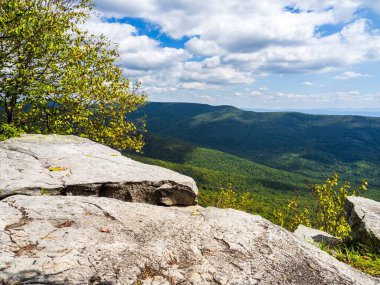 Batı Virginia ve Virginia sınırındaki Wolf Gap Yolu üzerinden Büyük Schloss 'tan görülen ağaçlık dağlarla dolu güzel vahşi doğa..