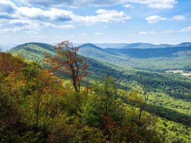 Batı Virginia ve Virginia sınırındaki Wolf Gap Yolu üzerinden Büyük Schloss 'tan görülen ağaçlık dağlarla dolu güzel vahşi doğa..