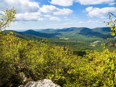 Batı Virginia ve Virginia sınırındaki Wolf Gap Yolu üzerinden Büyük Schloss 'tan görülen ağaçlık dağlarla dolu güzel vahşi doğa..