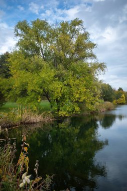 Yeşillik bir koruyucu ağaç, bereketli zarafetini kristal bir gölün huzurlu kucaklamasında yansıtırken, yukarıdaki gök mavisi tuval, doğanın büyüleyici paletinin bir senfonisini düzenleyen sürüklenen bulutlarla süslenir..