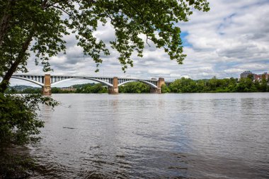 Resimli 40. Cadde Köprüsü Pittsburgh 'daki Allegheny Nehri' ni canlı yeşil ağaçlar çerçevesiyle incelikle geçer..