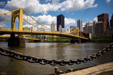 Güneşli bir günde, canlı Andy Warhol Köprüsü Allegheny Nehri boyunca uzanır, Pittsburgh şehir merkezinde pitoresk bir zemin sağlar..