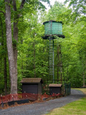 Eski bir su kulesi, yemyeşil yeşillik ile kusursuz bir şekilde harmanlanmış Prens William Forest Park, Virginia 'nın yemyeşil gölgesini gözetliyor..