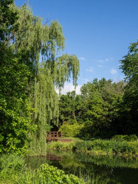 Ashburn, Virginia 'da, ahşap bir köprü, aynadan yansıyan bir su birikintisine yansıyor. Ağlayan söğüt ağacının altında, berrak mavi gökyüzünün arka planına karşı..