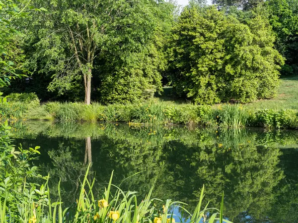 Ağaçlar, güneşli bir yaz gününde, cam bir gölette, Virginia, ABD 'deki bir mahallenin özünü yansıtıyorlar..