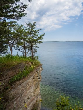 New York 'taki Robert G. Wehle Eyalet Parkı' nda Ontario Gölü 'nün üzerinde nefes kesici bir manzara parlayan suyun üzerindeki görkemli ağaçları serinleten ve hayranlık uyandıran bir manzara sunar..