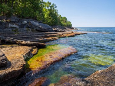 Güneş ışığı, New York 'un kuzeyindeki Robert G. Wehle State Park' taki Ontario Gölü 'nün yosun kaplı uçurumlarında akan berrak suda dans eder. Ufuk, parlak mavi gökyüzü ile kusursuz bir şekilde harmanlanır..