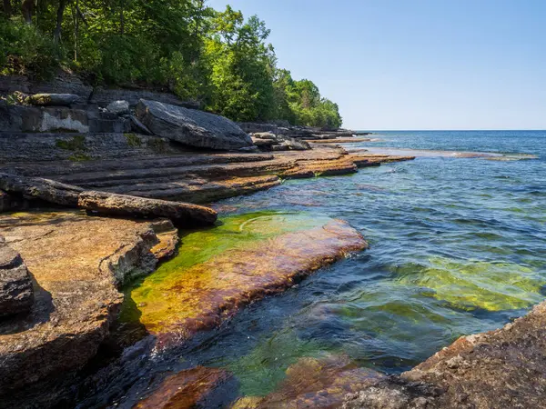 Güneş ışığı, New York 'un kuzeyindeki Robert G. Wehle State Park' taki Ontario Gölü 'nün yosun kaplı uçurumlarında akan berrak suda dans eder. Ufuk, parlak mavi gökyüzü ile kusursuz bir şekilde harmanlanır..