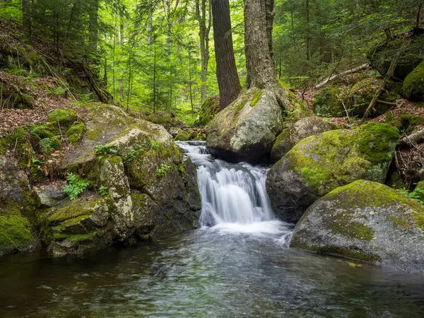 stock image Cascading waterfall grace the trail to Haystack Mountain, offering a refreshing pause for hikers in the serene wilderness of Lake Placid, Upstate New York, on a perfect summer day.