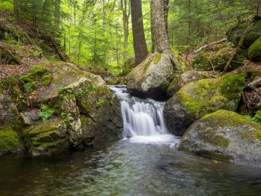 Büyük kayalar arasında küçük bir su akıntısı akar. Su berrak ve sakin. Çevresi yemyeşil ve yemyeşil. Sahne, suyun sesiyle huzurlu ve huzurlu. Lake Placid 'in dışında, Adirondack Dağları, New York Eyaleti.