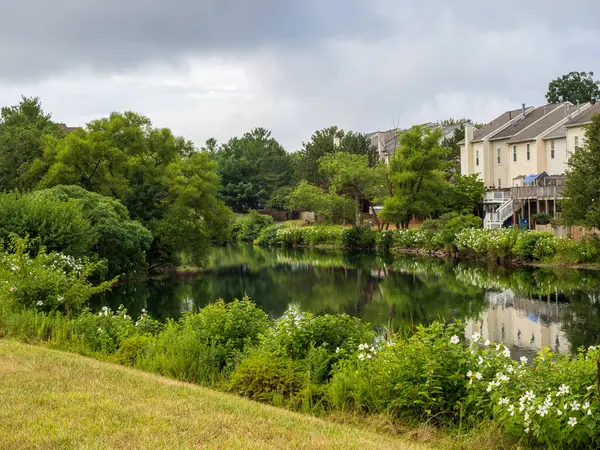 Ashburn, Virginia 'da bir banliyö mahallesindeki evleri ve yeşillikleri yansıtan huzurlu bir göl manzarası..