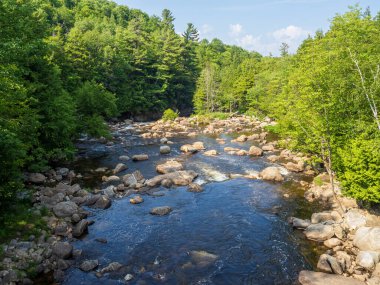Huzurlu Ausable Nehri Wilmington, Whiteface Dağı ve New York 'un kuzeyindeki Lake Placid yakınlarındaki kayalardan ve ağaçlardan oluşan sakin bir araziden akar...