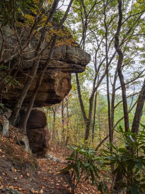 Batı Virginia 'daki New River Gorge Ulusal Parkı' nda manzaralı bir yürüyüş yolu, parkın engebeli doğal manzarasının altını çizerek çarpıcı bir kaya çıkıntısının altından geçiyor..