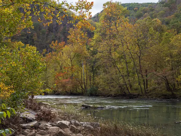 Nehir, New River Gorge Ulusal Parkı 'ndaki renkli ağaçlardan oluşan canlı bir ormanın içinden geçiyor ve Batı Virginia' nın kalbinde sonbaharın güzelliğinin özünü yakalıyor..