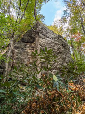 Batı Virginia 'daki New River Gorge Ulusal Parkı' nda kayalar, çiçek açan rhododendronlarla tamamlanmış ve parlak mavi gökyüzüne karşı kurulmuş kale gibi bir görünüm alırlar..