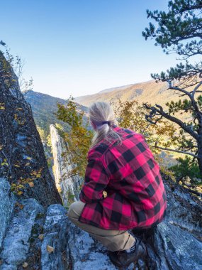 A man wearing a red lumberjack jacket enjoys the stunning view from the summit of Seneca Rocks, West Virginia, surrounded by rugged mountain scenery. clipart