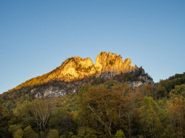 Summit of Seneca Rocks glimmers in the warm hues of sunset, with trees in vibrant fall colors creating a stunning natural frame in the foreground, highlighting nature's beauty. clipart