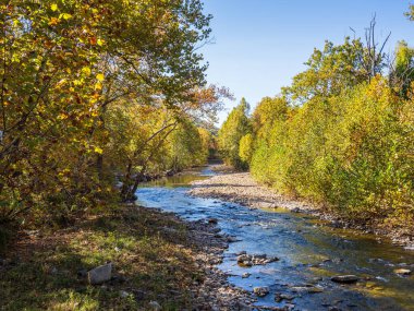 A serene stream flows near Seneca Rocks, West Virginia, surrounded by trees in brilliant fall colors, bathed in warm sunlight, creating a picturesque autumn landscape. clipart