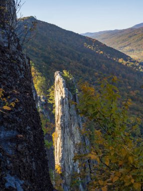 The sharp summit of Seneca Rocks, West Virginia, glows in the sunlight, rising above fall-colored mountains beneath a clear blue sky. clipart