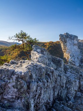 The rugged summit of Seneca Rocks, West Virginia, stands tall against a brilliant blue sky, overlooking a breathtaking landscape of fall-colored mountains. clipart