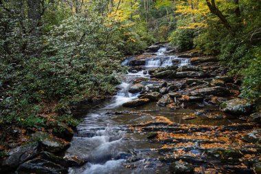 Dumanlı Dağlar Ulusal Parkı, Tennessee 'nin göbeğinde, sonbahar yapraklarıyla bezenmiş, kayalık basamakların üzerinde hareketli bir dere yuvarlanıyor..