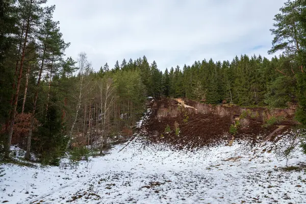 İsveç 'in Haessleholm kentindeki Vedema kayak yamacında kar, yamaçta koyu bitki örtüsü ve sık bir orman karışımı yer alıyor..