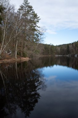 İsveç 'in Vedema kentindeki Barsjon Gölü' nün dikey çekimi, karışık bir orman ve karlı bankaların yansımalarını içeriyor..