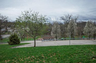 Mowry Park girişinde bulutlu bir bahar günü, Pittsburgh, Pennsylvania, yeşil çimenler, ağaçlar ve uzak bir piknik sığınağı.